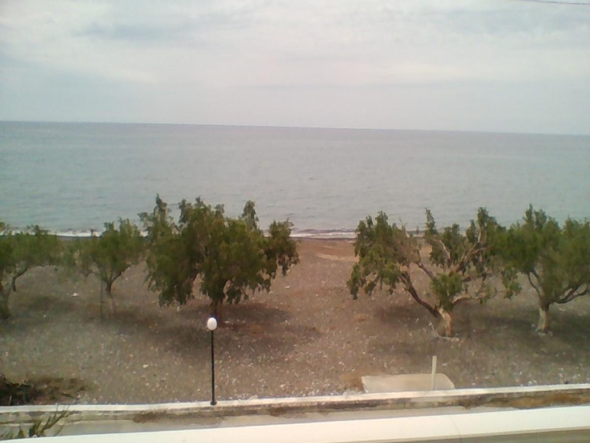 Apollon Apart otel Tsoútsouros Dış mekan fotoğraf