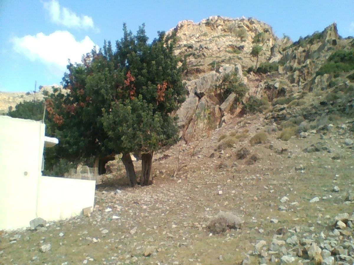 Apollon Apart otel Tsoútsouros Dış mekan fotoğraf